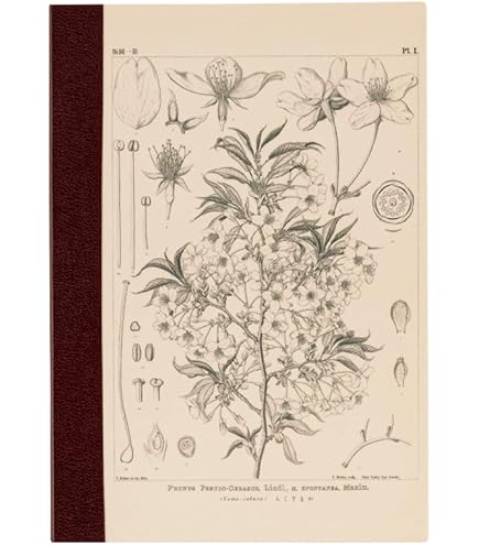 Amazon.co.jp: ほぼ日手帳 柴田ケイコ/ほぼ日の方眼ノート（A6）誰が来